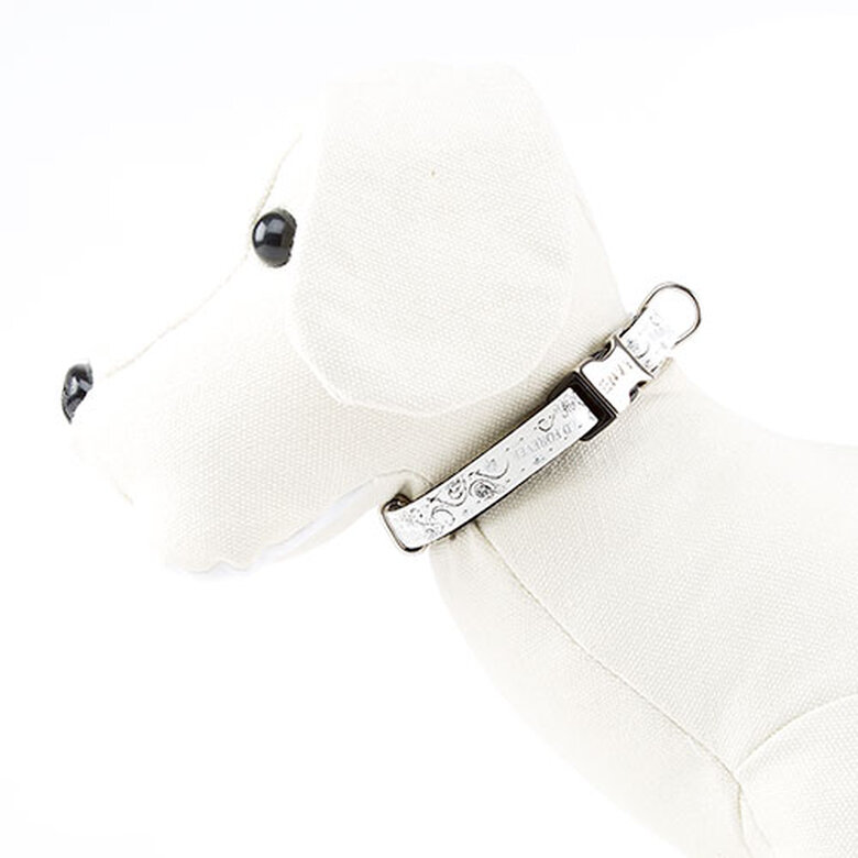 Envy Wild Forever Collar para perros color blanco image number null