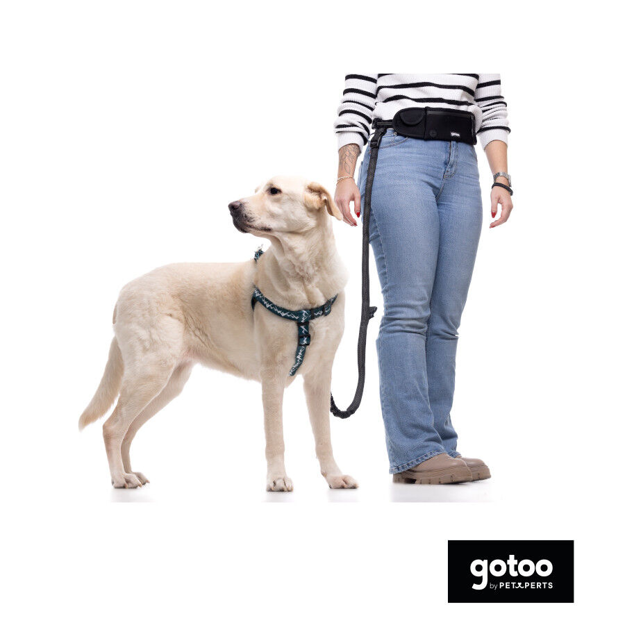 Gotoo Arn&eacute;s estampado verde para perros, , large Imagen numero 5