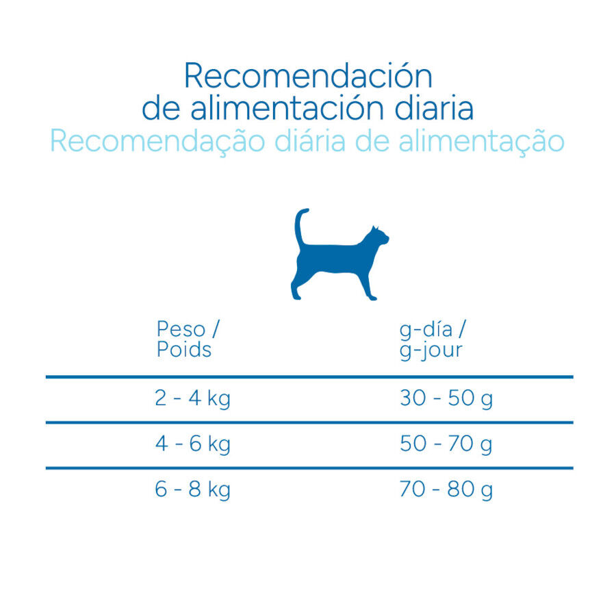 Criadores Cient&iacute;fico Senior +12 Pescado pienso para gatos, , large Imagen numero 9