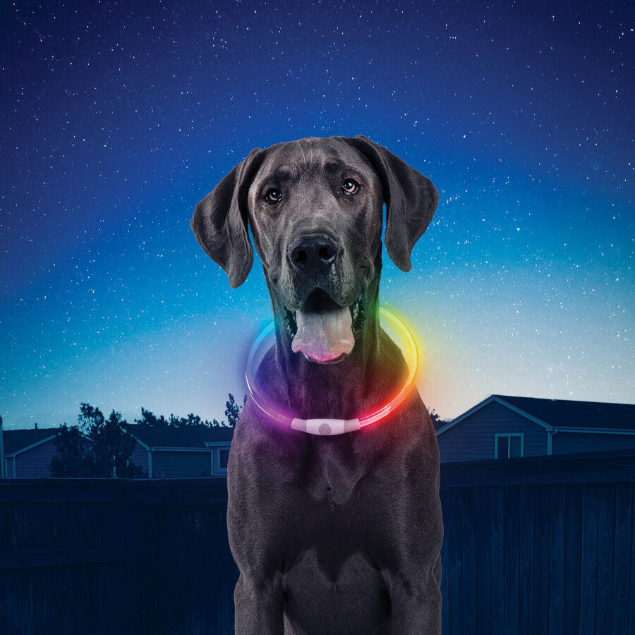 Nite Ize Nite Howl Disc-O-Select LED Collar para perros thumbnail