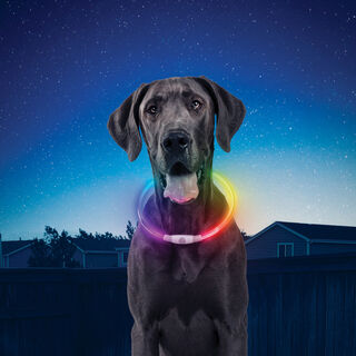 Nite Ize Nite Howl Disc-O-Select LED Collar para perros