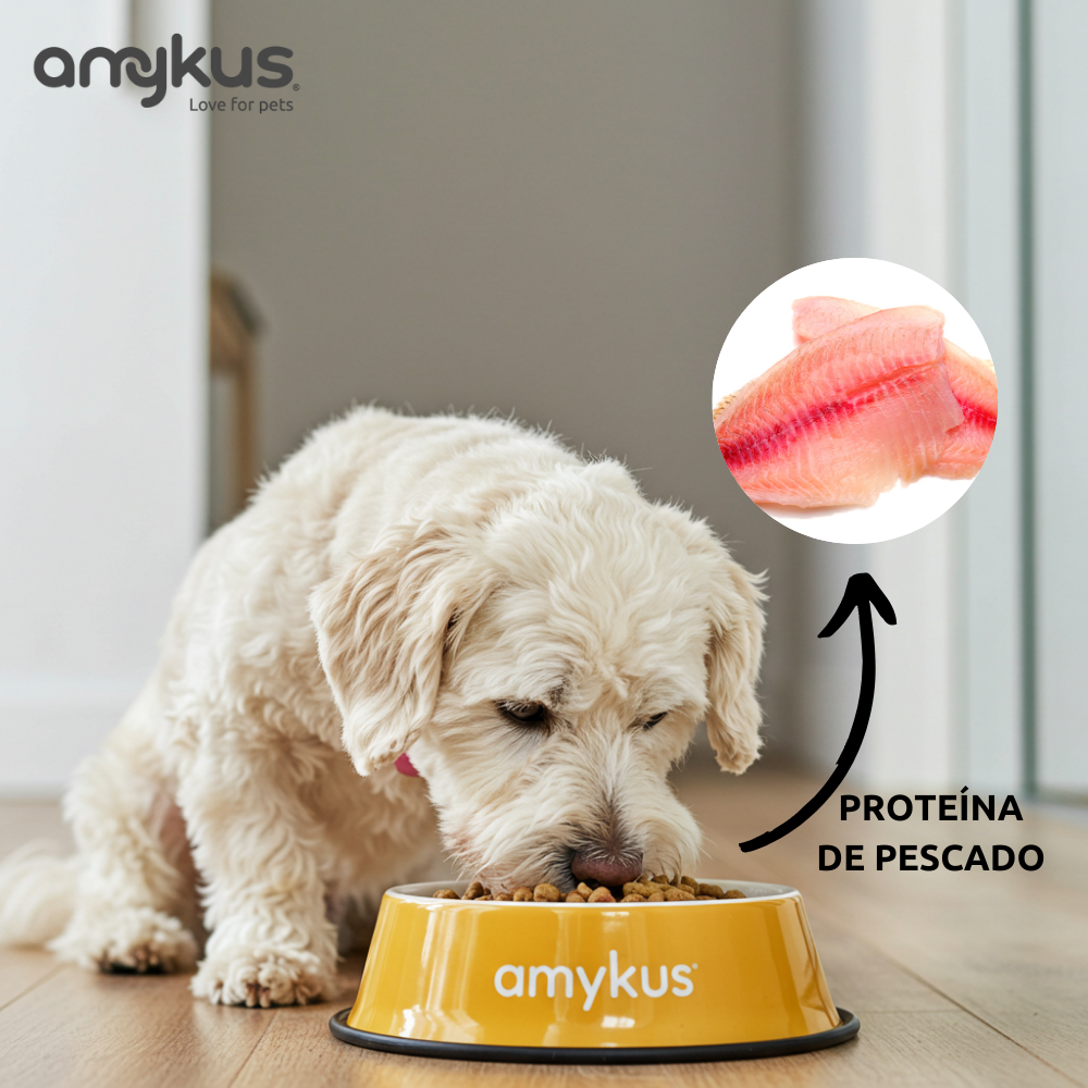 Amykus Original Mini Fish pienso de pescado para perros Mini, , large Imagen numero 3