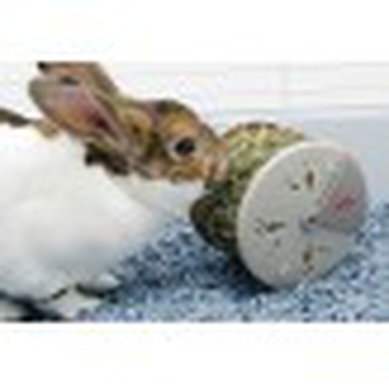 Living World Rueda dispenadora de comida interactiva para roedores thumbnail