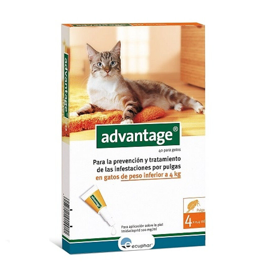 Advantage pipetas antiparasitarias para gatos, , large Imagen numero 1