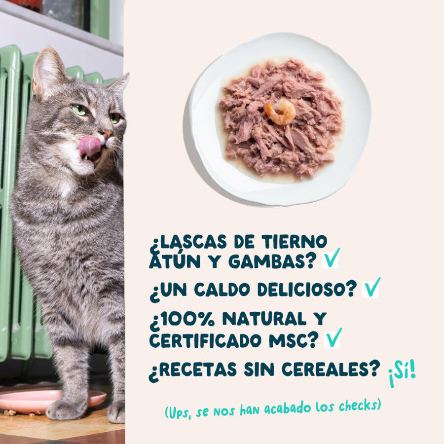 70 g Edgard & Cooper Filetes de At&uacute;n y Gambas lata para gatos, , large Imagen numero 4