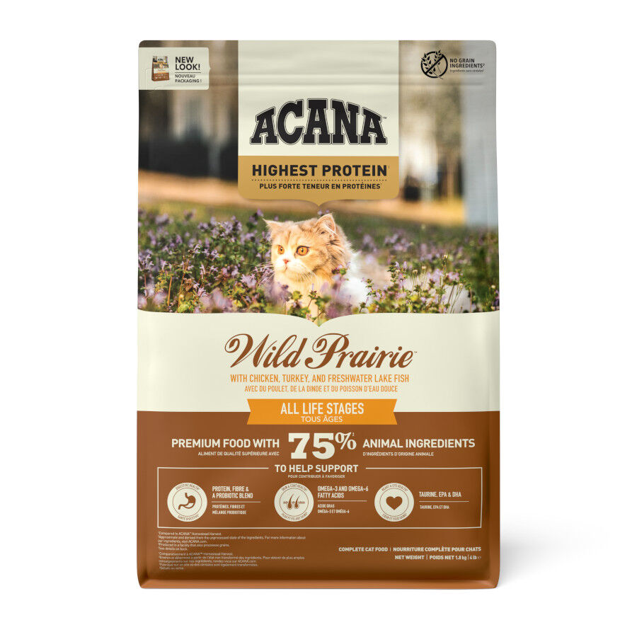 Acana HP Wild Prairie pienso para gatos y gatitos