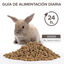 Beaphar Care + Junior Pienso para conejo junior, , large indicador imagen numero 2