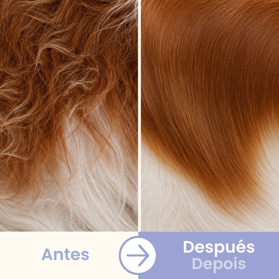 Bloob Peine Doble Cara para perros, , large Imagen numero 5