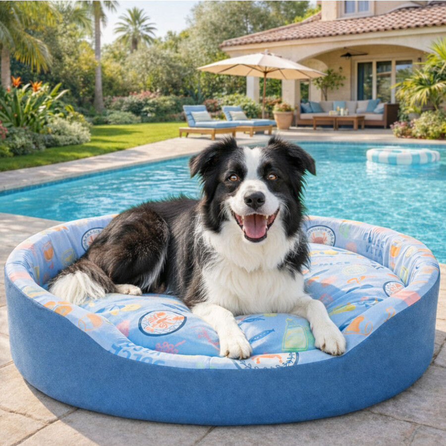 Summer Vibes Cama Refrescante para perros, , large Imagen numero 1
