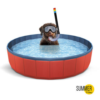 Summer Vibes Piscina Roja para perros