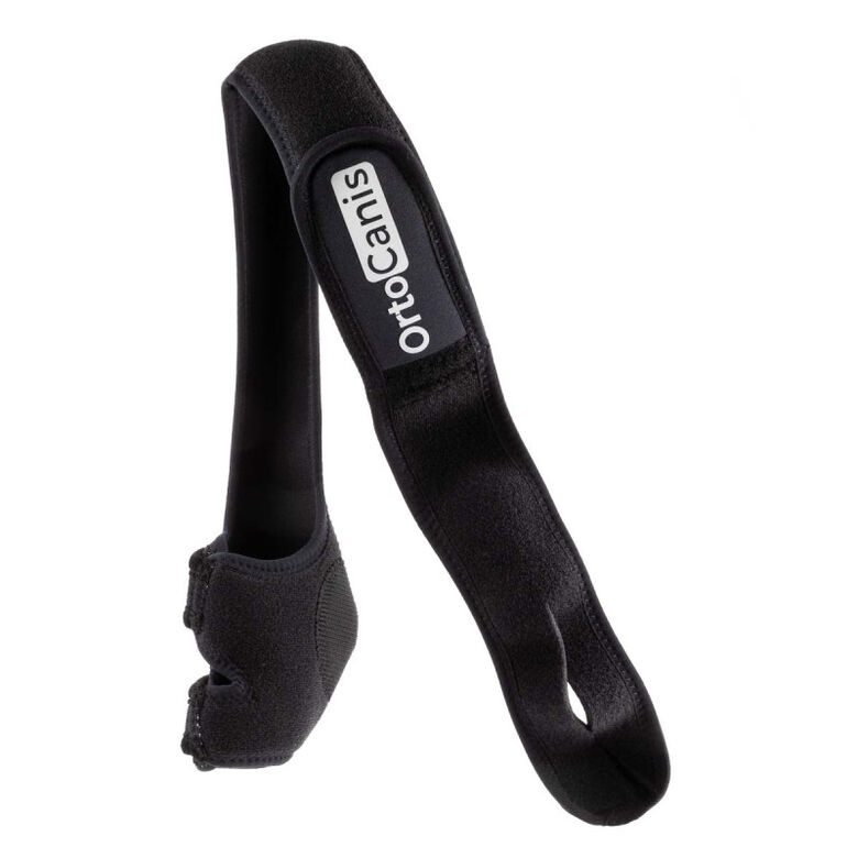 Ortocanis Protector De Codo Derecho para perro thumbnail