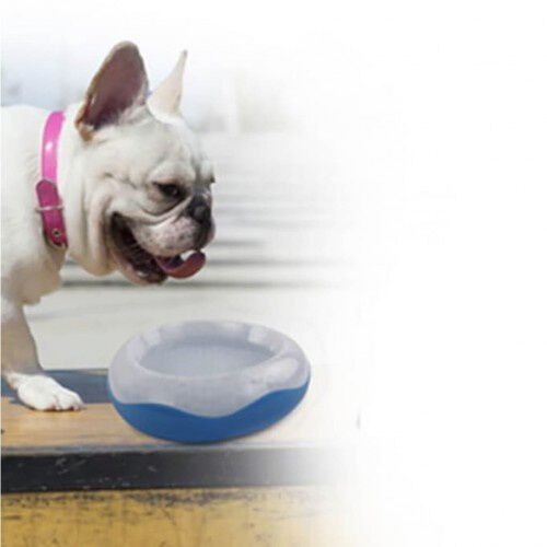 Bebedero refrigerante para mascotas color Azul, , large Imagen numero 2