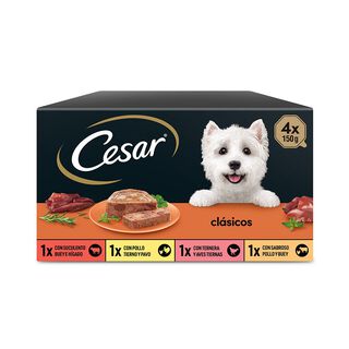 Cesar Selección Clasicos Tarrina en Paté para Perros