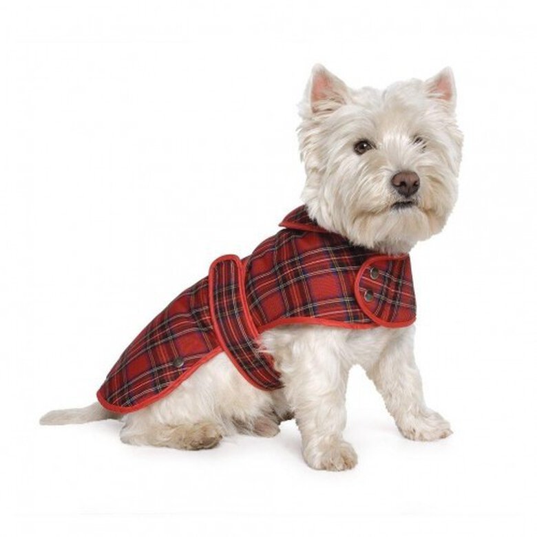 Abrigo modelo Highland Tartan para perros color Rojo, , large image number null