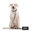 Gotoo Porta bolsas silicona marrón para perros, , large indicador imagen numero 4