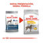 12 kg Royal Canin Dermacomfort Maxi pienso para perros, , large indicador imagen numero 3
