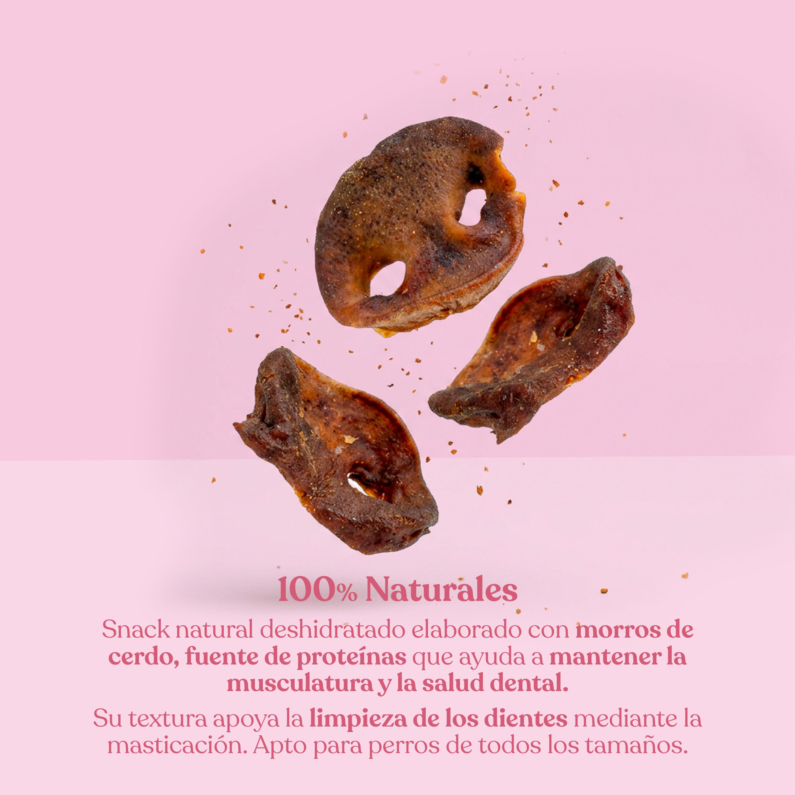 dr.bimix Morros de Cerdo para Perros | Masticaci&oacute;n Natural y Salud Dental, , large Imagen numero 2