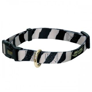 Collar Love Zebra para perro color Blanco y negro