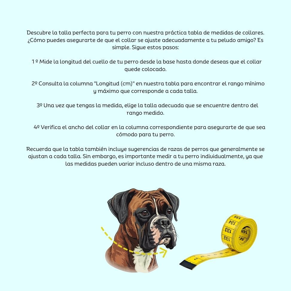 Collar para perro "Vichy verde agua" T.S /hebilla met&aacute;lica/ Color verde agua, , large Imagen numero 3