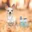 Greenfields champú neutro para mascotas, , large indicador imagen numero 3