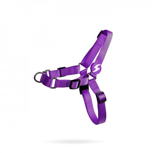 Dashi arn&eacute;s frontal de nylon p&uacute;rpura para perros, , large Imagen numero 1