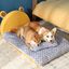 Cama Queen Premium para mascotas, , large indicador imagen numero 3