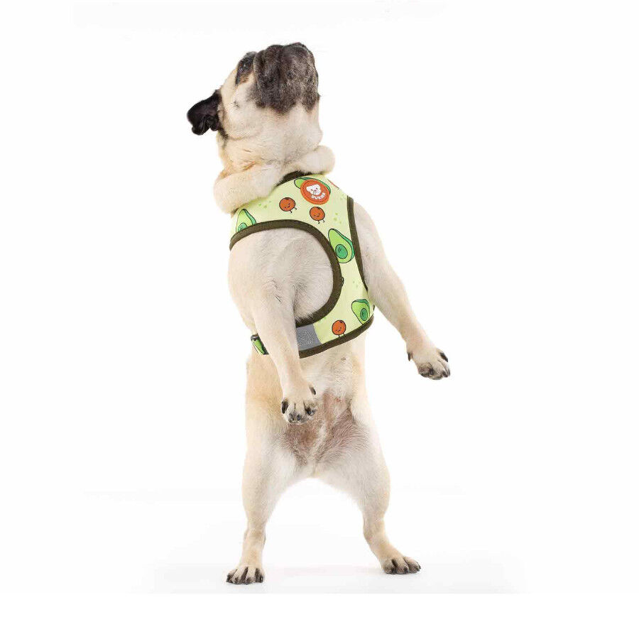 Dukier Avocado Arn&eacute;s Reversible Estampado Aguacate para perros, , large Imagen numero 3
