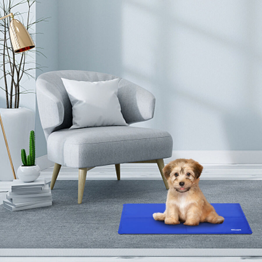 Nobleza - Alfombrilla refrescante para mascotas grandes. Auto refrigerante No t&oacute;xico. Ideal para para perros, gatos en verano. 50*40 cm, color azul, S, , large Imagen numero 5
