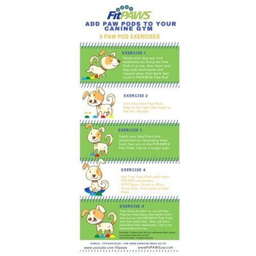 Accesorio de equilibrio de patas para perros, , large Imagen numero 5