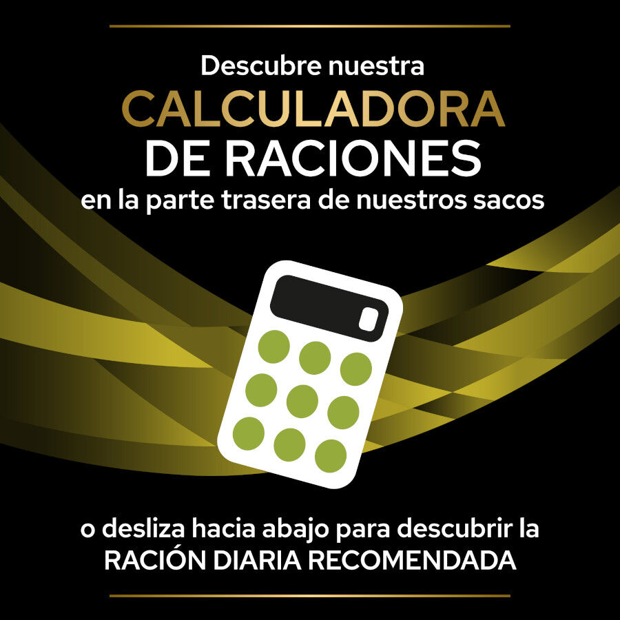 Pro Plan Veterinary Diets Hepatic pienso para perros thumbnail