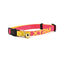 Nayeco X-Trm Neon Flash Fucsia collar para gatos, , large indicador imagen numero 1