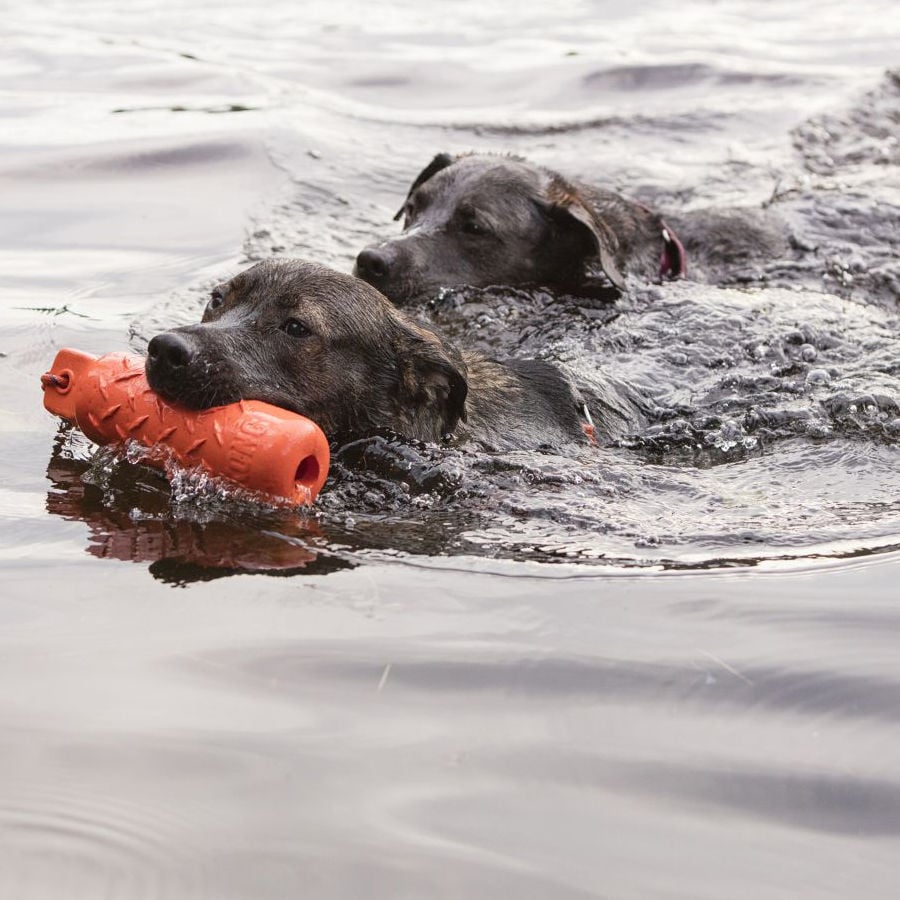 Kong Training Dummy cilindro de juguete para perros thumbnail
