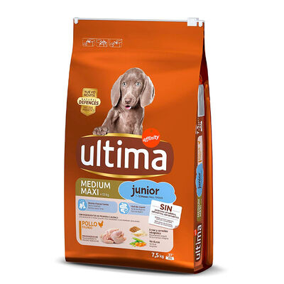 Affinity Ultima Medium / Maxi Junior pienso para perros