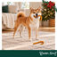 1 pack x 2 uds. Wonder Christmas D&uacute;o Bastones Navidad Snacks para perros, , large indicador imagen numero 2