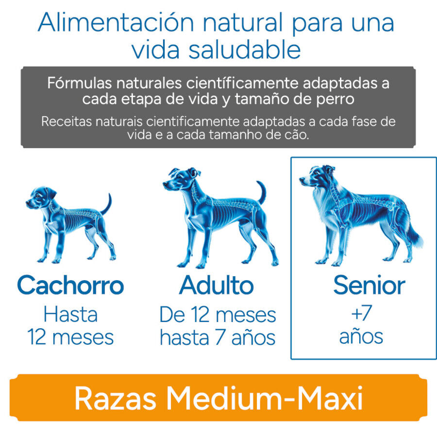 Criadores Cient&iacute;fico Senior Sensitive Medium-Maxi Pienso Salm&oacute;n para perros, , large Imagen numero 11