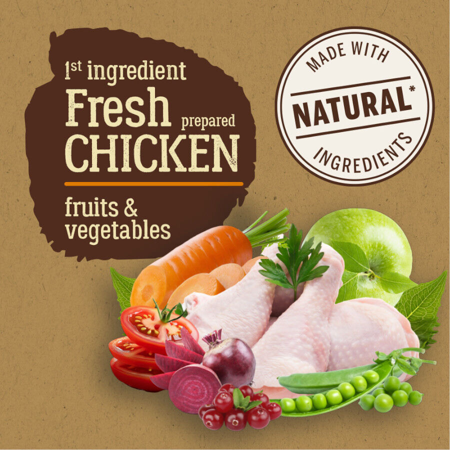 True Origins Pure Adult Pollo y Arroz pienso para perros thumbnail