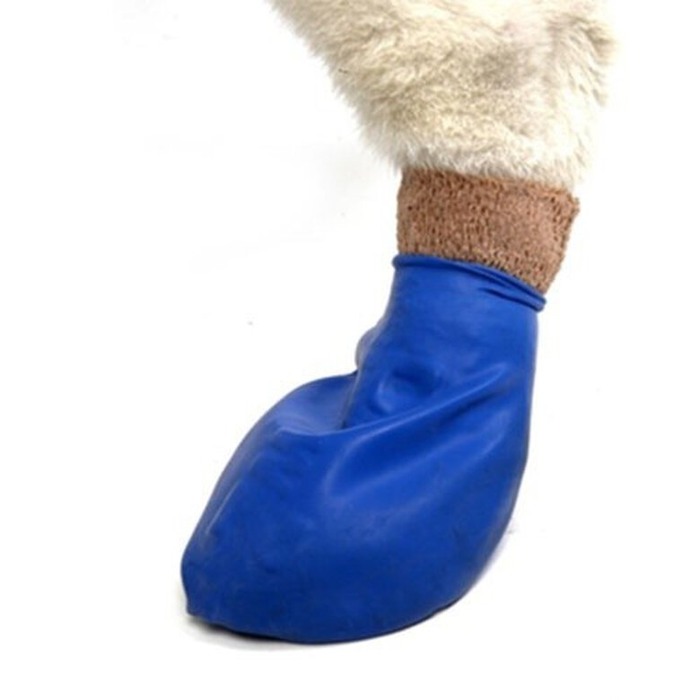 Botas de caucho natural Pawz para perro color Azul, , large image number null