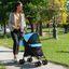 PawHut Cochecito para Perros Azul, , large indicador imagen numero 2