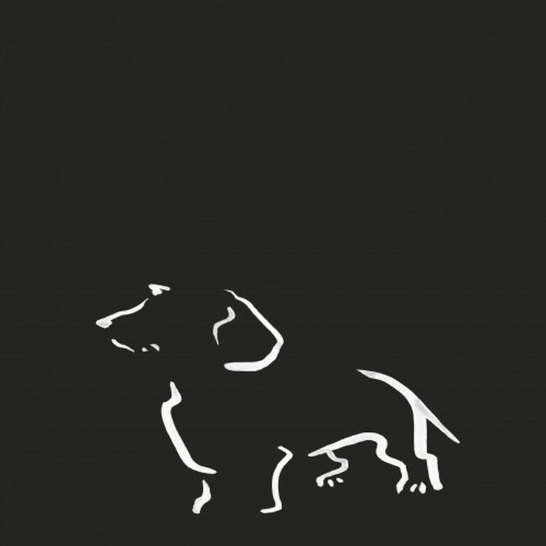 Ilustración de Terrier A4 sin marco color Negro, , large image number null