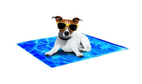 Alfombra Refrescante Chill Out 50x40 cm, , large Imagen numero 1