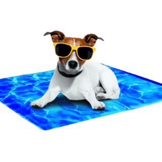 All for Paws Alfombra Chill Out para perros y gatos