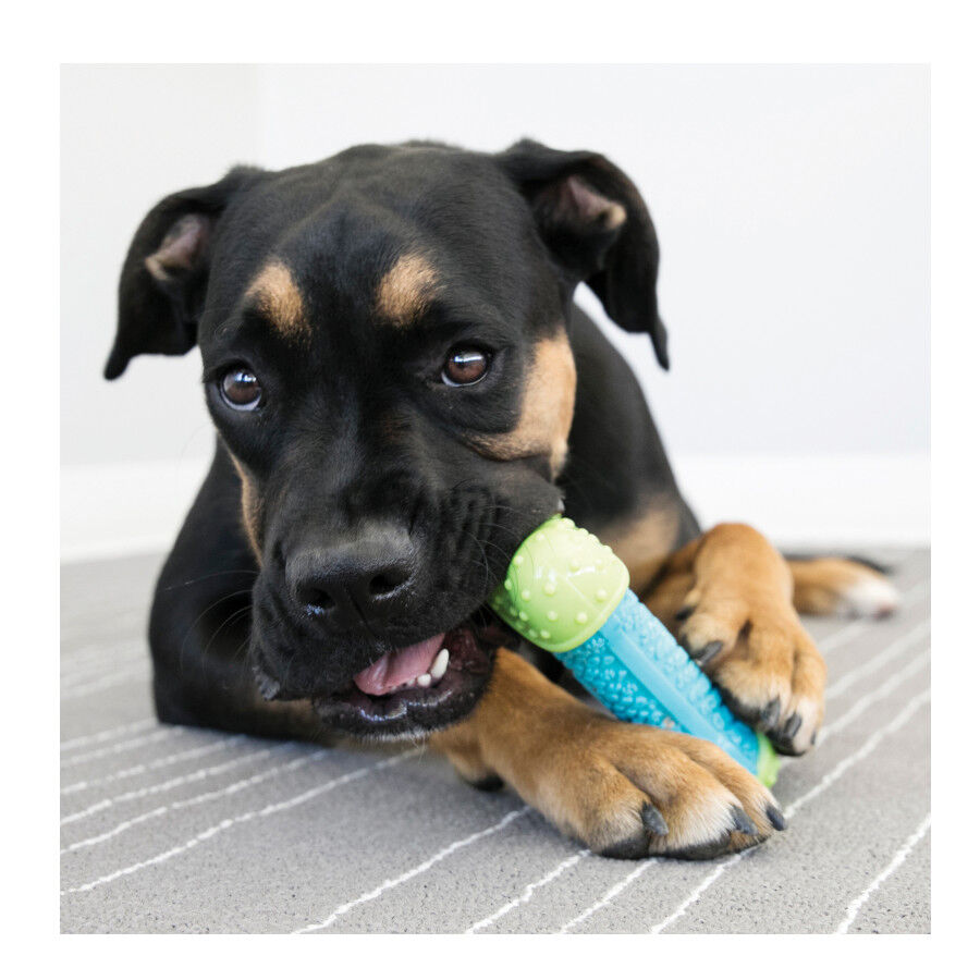 Kong Corestrength Hueso para perros thumbnail