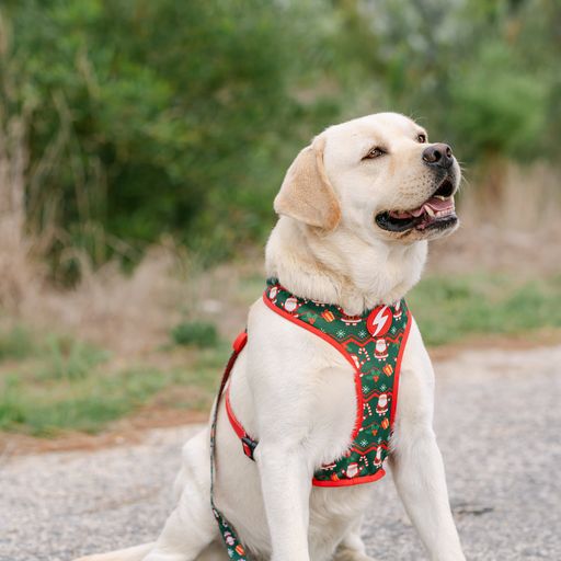 Arn&eacute;s reversible Neo Mesh Noel para perros color Varios, , large Imagen numero 4