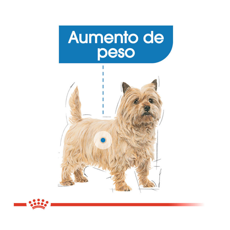 Royal Canin Light Weight Care Sobres Paté para perros thumbnail
