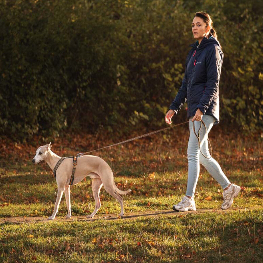Non-stop Dogwear Correa Turquesa y Roble para perros, , large Imagen numero 2