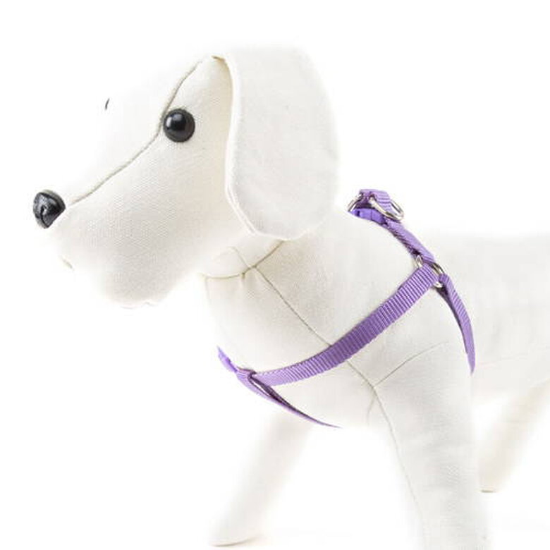 Nayeco Basic arnés para perros lila image number null