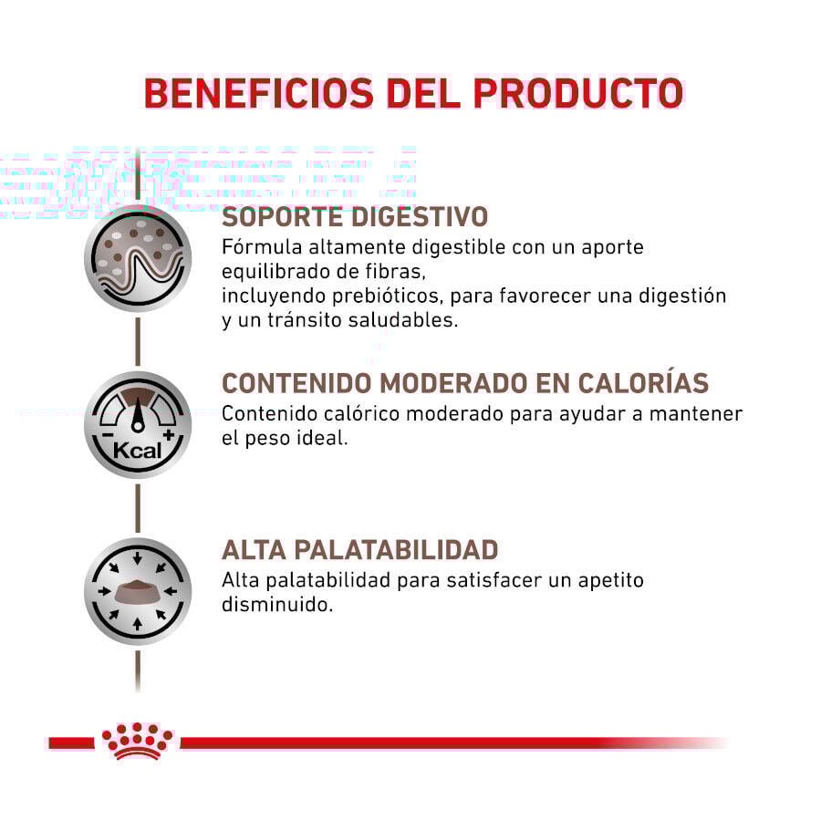 Royal Canin Veterinary Gastrointestinal Moderate Calorie pienso para gatos thumbnail