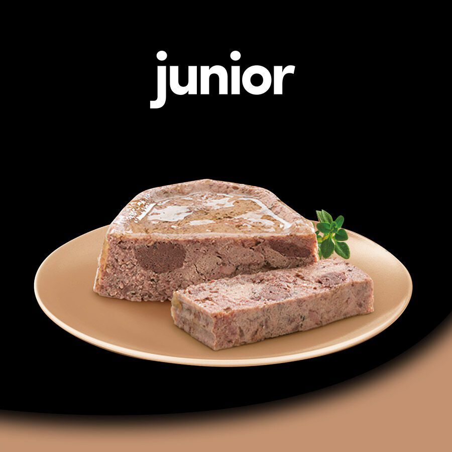 Cesar Pavo y Ternera Tarrina en Gelatina para Cachorros thumbnail