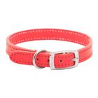 Collar de piel Buckle Up para perros color Rojo, , large image number null