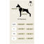 FIHR - Arnés Ajustable H para perros Tail and Tropic, , large indicador imagen numero 5